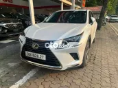 Lexus NX 300 sx 2018 2.0L 4WD Full kịch đồ