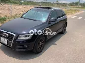 Audi Q5 2010