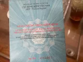 Ảnh số 26
