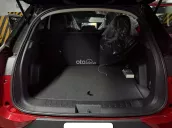 Option như bản S, chỉ mới lăn bánh được 70kilomet