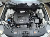 Full Option