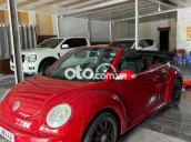 Volkswagen New Beetle mui trân