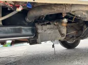 Su cóc 7 chỗ không niên hạn