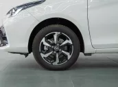 Siêu lướt 4.200km, Sơn Zin
