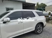 Hyundai Palisade 2024 - 20000 km