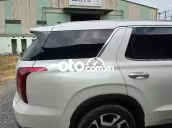 Hyundai Palisade 2024 - 20000 km