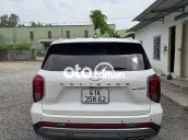 Hyundai Palisade 2024 - 20000 km