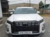 Hyundai Palisade 2024 - 20000 km