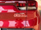 Odo siêu lướt 5.555km Nilon quanh xe