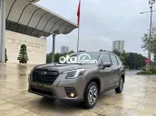 Odo 13000 km