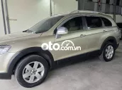 Màu vàng đang tìm chủ nhân mới