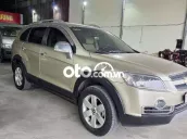Màu vàng đang tìm chủ nhân mới
