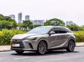 Xe đẹp như xe trong hãng