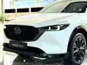 Giảm 59 triệu tiền mặt trừ thẳng vào giá xe