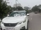 7 chỗ