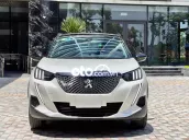 Xe cá nhân 1 chủ từ mới