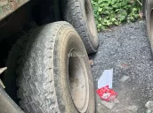 Ảnh số 7