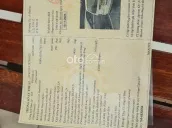 Ảnh số 46