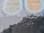Ảnh số 47