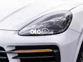 Porsche Cayenne Coupe Platinum Edition model 2023