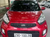 Đẹp khủng khiếp 12 vạn cây