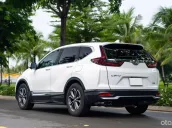 🚗CẦM CAVET Ô TÔ UY TÍN🔥THU MUA GIÁ CAO🔥TÂN TỨ QUÝ🌟