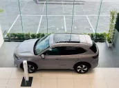 Giảm 50% Lệ Phí Trước Bạ