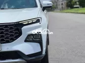 TERRITORY TITANIUM 2023 CỰC ĐẸP