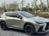 Lexus NX 300 2018
