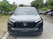 Xe đẹp xuất sắc, như mới 100%