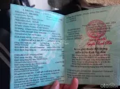 Ảnh số 14