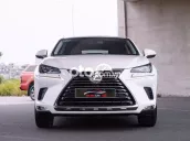 Lexus NX300 2019