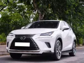 Lexus NX 300 2019 tại Hà Nội