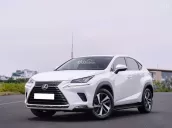 Lexus NX 300 2019 tại Hà Nội