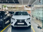 Lexus NX 300 2018 tại Tp.HCM
