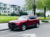 Lux SA Plus Đỏ 2019 tuyệt đẹp