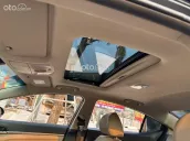 XE CHẤT GIÁ HỢP LÝ