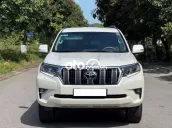 Toyota Land Cruiser Prado 2022 - 60000 km