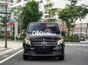 Mercedes Benz V class V250 Luxury 2019