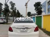 Ảnh số 23