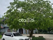 BMW X3 2022 xDrive20i M Sport - 21000 km