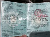 Hyundai Stargazer 2022 Cao cấp 1.5 AT - 32600 km