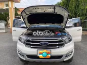 Ford Everest 2019 Titanium Plus 2.0L AT 4WD - 4 km