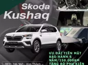 Phân khúc SUV giá tốt, đặc biệt giảm 10 triệu trong Tháng 8/2025