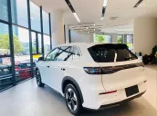 SUV thuần điện, đẳng cấp, sạc đầy 430km