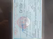 Ảnh số 14