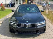 Xe sedan cao cấp 2010, màu đen sang trọng