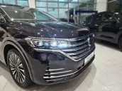 Màu đen dành cho Quý Công Ty Ưu đãi Tặng Bệ Bước điện trong tháng 11/2025