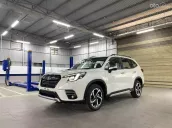 🎁 TẶNG 3 NĂM BẢO DƯỠNG MIỄN PHÍ CHÍNH HÃNG - Giảm thêm khi LH: 0979 753 204 Mr Thắng