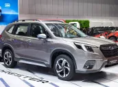 🎁 TẶNG 3 NĂM BẢO DƯỠNG MIỄN PHÍ CHÍNH HÃNG - Giảm thêm khi LH: 0979 753 204 Mr Thắng